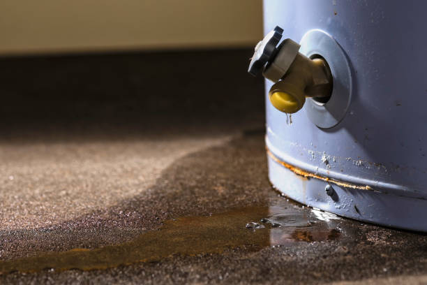 Best Water damage restoration insurance claims  in Maltby, WA