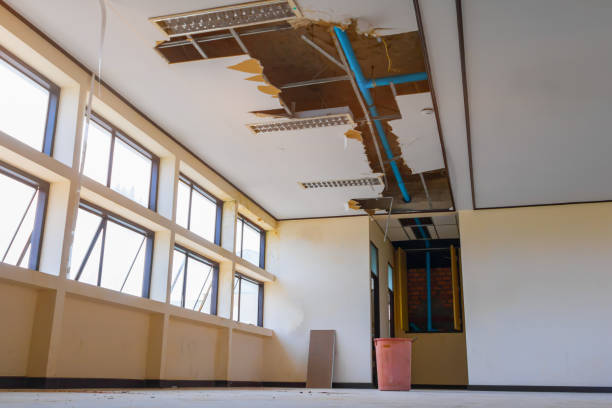 Best Water damage restoration near me  in Maltby, WA