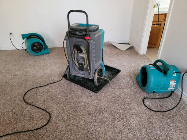 Best Carpet water damage restoration  in Maltby, WA