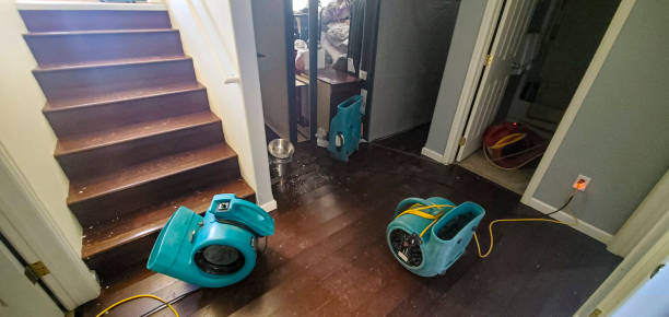 Best Flood damage cleanup  in Maltby, WA