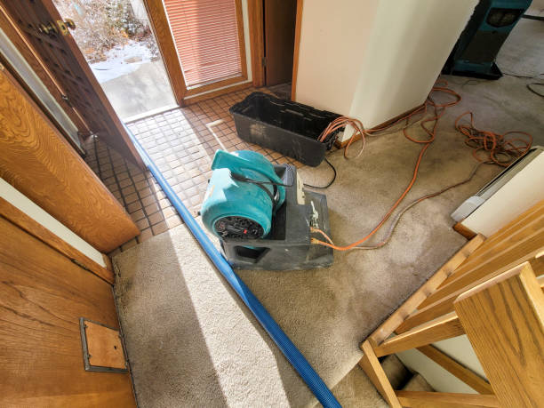 Best Basement water damage restoration  in Maltby, WA