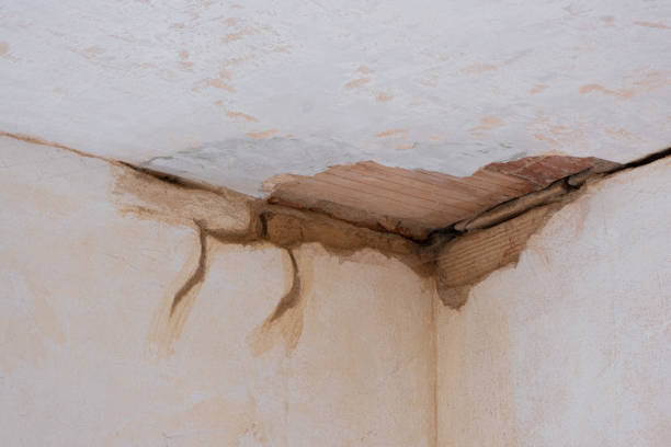 Reliable Maltby, WA Water damage restoration Solutions