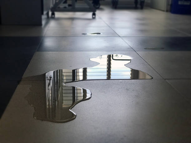 Best Water damage contractors near me  in Maltby, WA