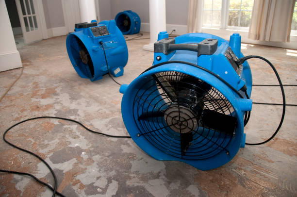 Best Water damage restoration specialists  in Maltby, WA