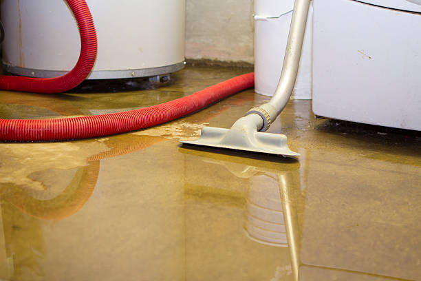 Best 24-hour water damage restoration  in Maltby, WA