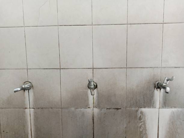 Best 24/7 water damage repair  in Maltby, WA