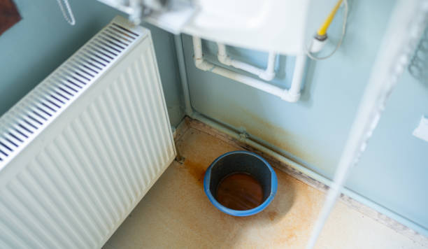 Best Professional water damage repair  in Maltby, WA