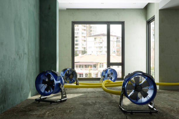 Best Sewage cleanup and water damage restoration  in Maltby, WA