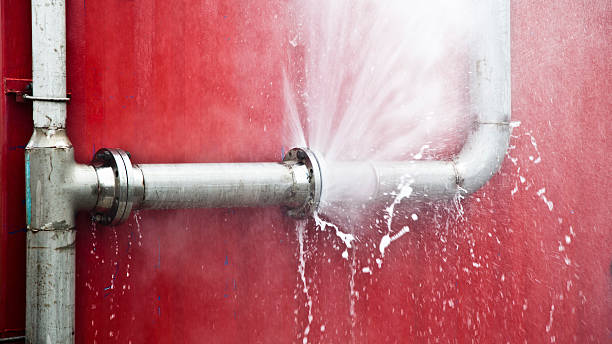 Best Flooded house restoration  in Maltby, WA